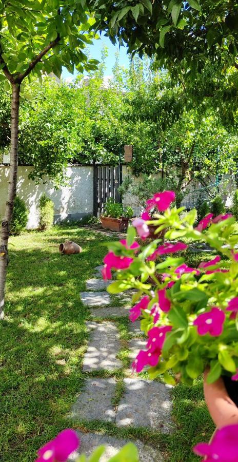 Apartament Casa Teresinella Garden Torre Annunziata Zewnętrze zdjęcie